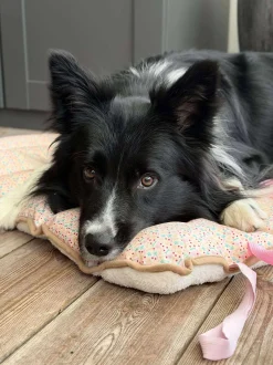 VIAMAJA Hund<Hundetæppe - Foldbart