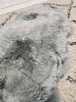 VIAMAJA Korthåret<Lammeskind - Lys - Grå fra New Zealand