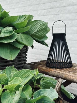 VIAMAJA Lys Og Led|Udendørs Led<Lanterne med solceller - GARDEN BLACK 24cm