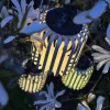 VIAMAJA Lys Og Led|Udendørs Led<Lanterne VILA m. Solceller – Beige metal