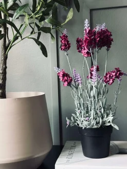 VIAMAJA Blomster<Lavendel 40cm - Hindbær
