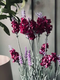 VIAMAJA Blomster<Lavendel 40cm - Hindbær