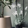 VIAMAJA Blomster<Lavendel 40cm - Hvid