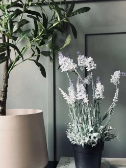 VIAMAJA Blomster<Lavendel 40cm - Hvid