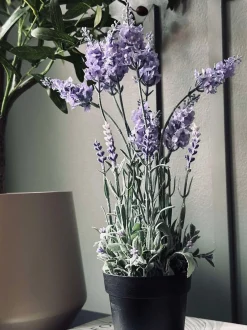 VIAMAJA Blomster<Lavendel 40cm - Lys lilla
