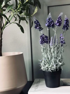VIAMAJA Blomster<Lavendel 40cm - Mørk Lilla