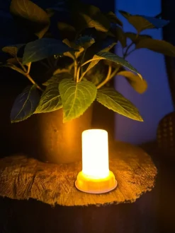 VIAMAJA Lys Og Led|Udendørs Led<LED Flame – God til lanterner og græskar