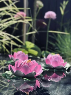VIAMAJA Spejlbassiner Og Tilbehør<Lotus - Flere farver