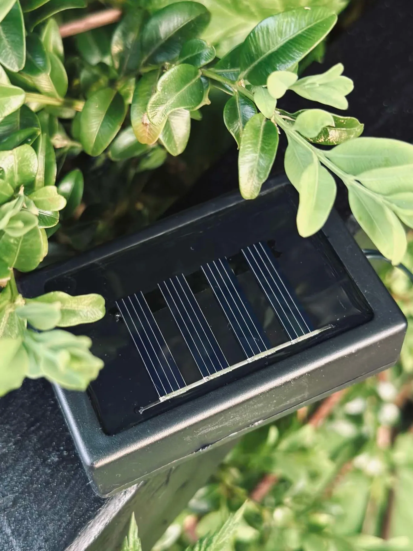 VIAMAJA Led Solceller|Led Solceller<Lyskæde COLOR med solceller