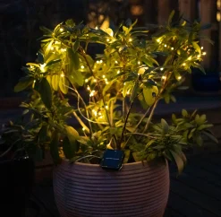 VIAMAJA Lys Og Led|Udendørs Led<Lyskæde Marly m. Solar - 100 lys