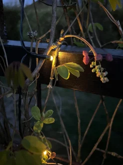 VIAMAJA Lys Og Led|Udendørs Led<Lyskæde med 60 led lys - solceller - Ekstra kraftig
