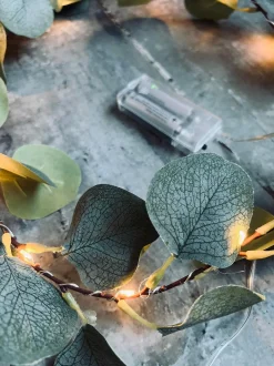VIAMAJA Lys Og Led|Led Dekoration<Lyskæde med eucalyptus