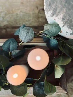 VIAMAJA Lys Og Led|Led Dekoration<Lyskæde med eucalyptus