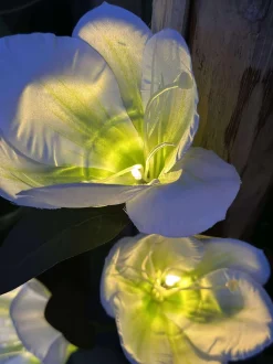 VIAMAJA Lys Og Led|Udendørs Led<Magnolia med solceller - Hvid