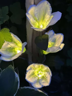 VIAMAJA Lys Og Led|Udendørs Led<Magnolia med solceller - Hvid