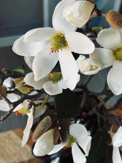 VIAMAJA Blomster<Magnoliagren - 52cm