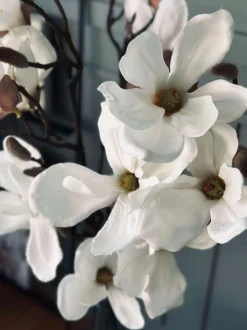 VIAMAJA Blomster<Magnoliagren - 92cm
