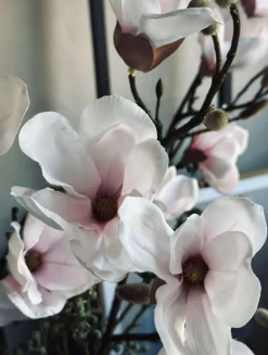 VIAMAJA Blomster<Magnoliagren - Pink 52cm