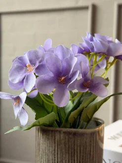 VIAMAJA Blomster<Mini hortensia i potte - flere farver