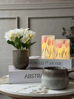 VIAMAJA Blomster<Mini hortensia i potte - flere farver