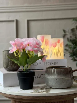 VIAMAJA Blomster<Mini hortensia i potte - flere farver
