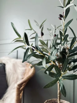 VIAMAJA Blomster<Oliventræ