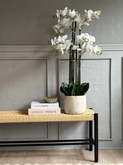 VIAMAJA Blomster|Interiør<Orkidé i Potte 105 cm - Hvid