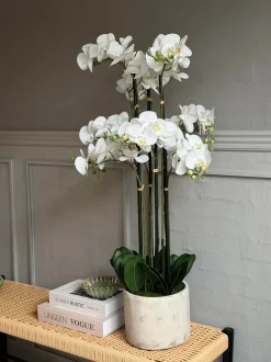 VIAMAJA Blomster|Interiør<Orkidé i Potte 105 cm - Hvid