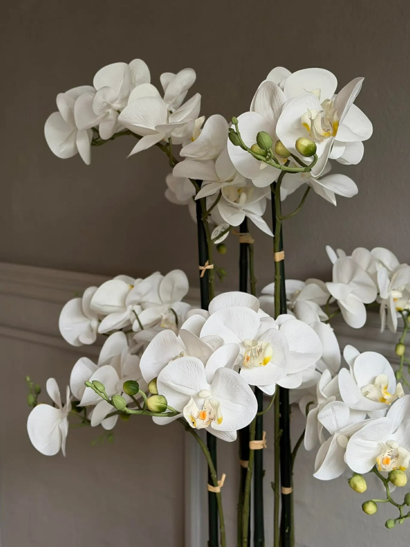 VIAMAJA Blomster|Interiør<Orkidé i Potte 105 cm - Hvid