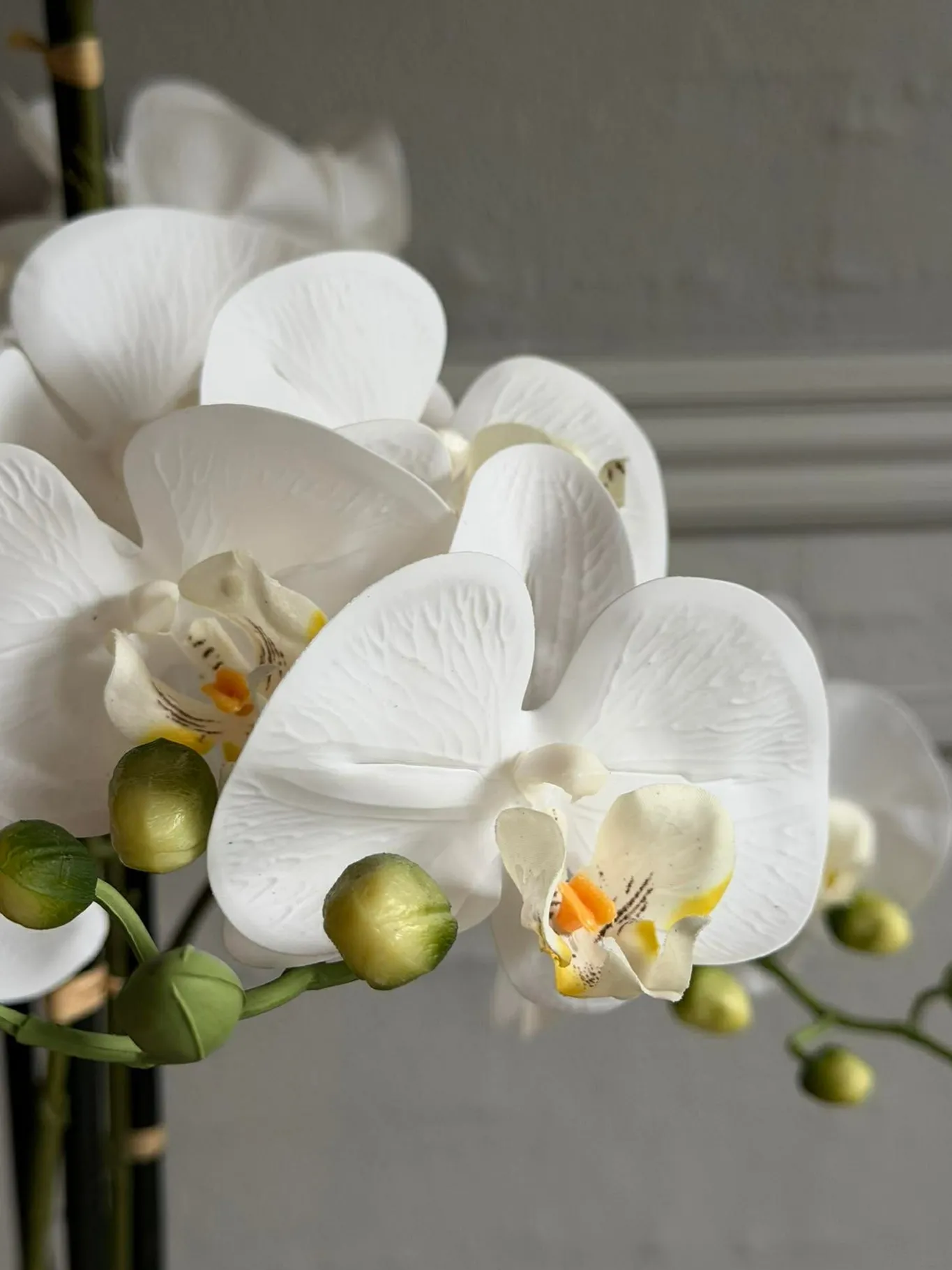 VIAMAJA Blomster|Interiør<Orkidé i Potte 105 cm - Hvid