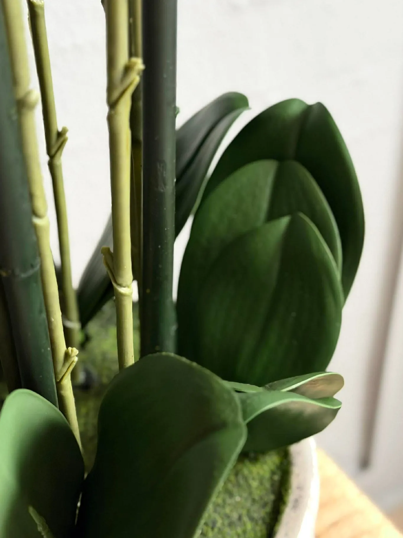 VIAMAJA Blomster|Interiør<Orkidé i Potte 105 cm - Hvid