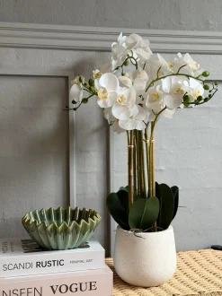 VIAMAJA Blomster|Interiør<Orkidé i Potte 65 cm - Hvid