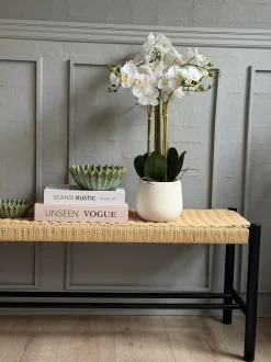 VIAMAJA Blomster|Interiør<Orkidé i Potte 65 cm - Hvid