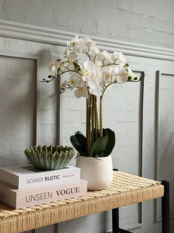 VIAMAJA Blomster|Interiør<Orkidé i Potte 65 cm - Hvid