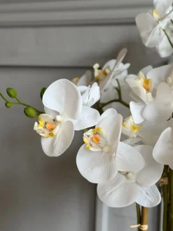 VIAMAJA Blomster|Interiør<Orkidé i Potte 65 cm - Hvid
