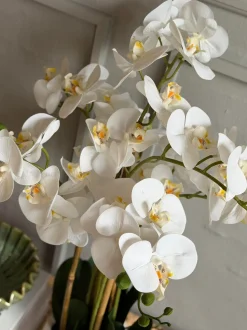 VIAMAJA Blomster|Interiør<Orkidé i Potte 65 cm - Hvid