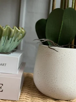 VIAMAJA Blomster|Interiør<Orkidé i Potte 65 cm - Hvid