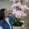 VIAMAJA Blomster|Interiør<Orkidé i Potte 105 cm - Rosa