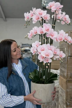 VIAMAJA Blomster|Interiør<Orkidé i Potte 105 cm - Rosa