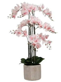 VIAMAJA Blomster|Interiør<Orkidé i Potte 105 cm - Rosa