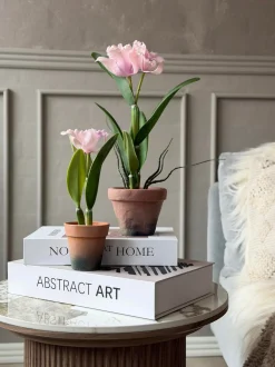 VIAMAJA Blomster|Interiør<Orkidé i Potte Rosa - Flere størrelser