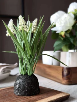 VIAMAJA Blomster<Perlehyacint moskugle - Hvid