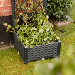 VIAMAJA Plantekasser|Havekrukker<Plantekasse med espalier