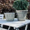 VIAMAJA Havekrukker|Kurve Og Potter<Plantekurv 15 cm