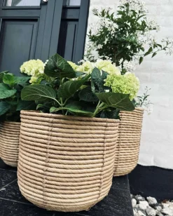 VIAMAJA Restparti|Havekrukker<Plantekurve RATTAN BIG - Sæt med 3 størrelser