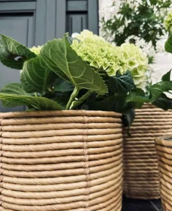 VIAMAJA Restparti|Havekrukker<Plantekurve RATTAN BIG - Sæt med 3 størrelser