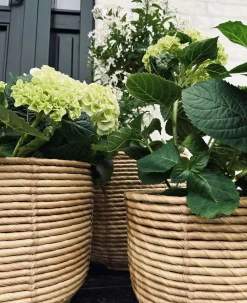 VIAMAJA Restparti|Havekrukker<Plantekurve RATTAN BIG - Sæt med 3 størrelser