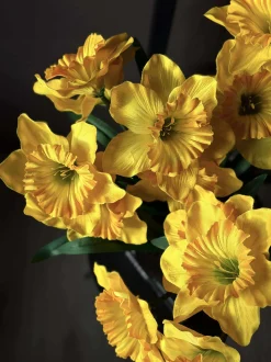 VIAMAJA Blomster|Påske<Påskelilje - Gul