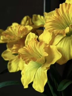 VIAMAJA Blomster|Påske<Påskelilje - Gul