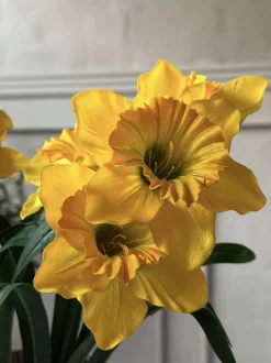 VIAMAJA Blomster|Påske<Påskelilje - Gul